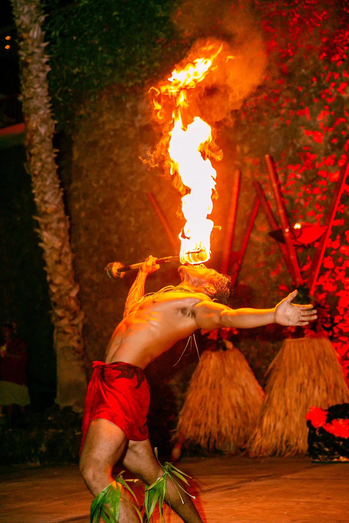 Live performance at an evening event